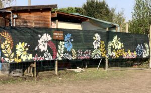 64D4FD43 6FA3 40AC 8107 33EBF229BA94 1 201 a 300x184 - 64D4FD43-6FA3-40AC-8107-33EBF229BA94_1_201_a